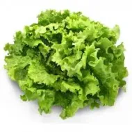 SALADE LAITUE LOCALE [BOTTE]
