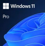 Windows 11 Professionnel + Assistance